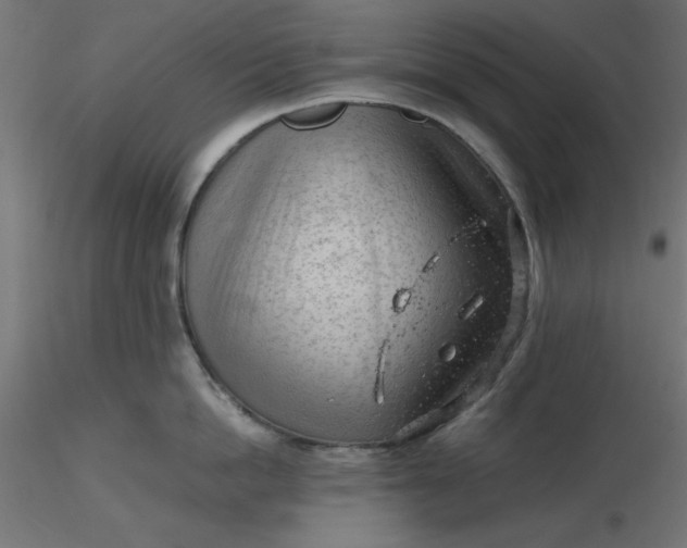 X0000116640862200912291554