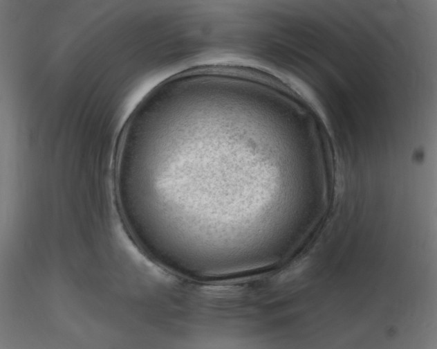 X0000116640863200912291554