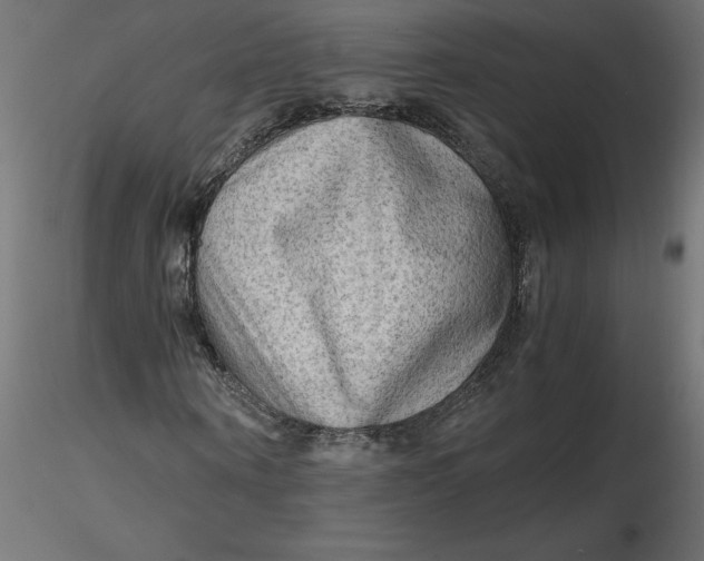 X0000116640866200912291553