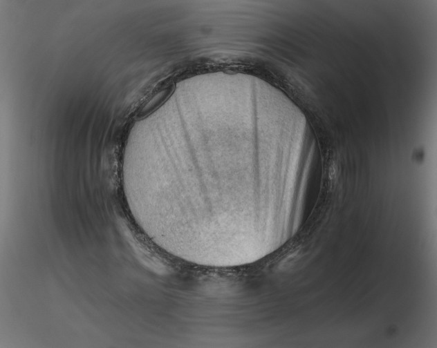 X0000116640868200912291553