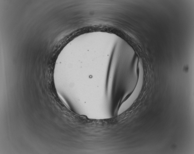 X0000116640869200912291553