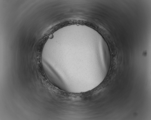 X0000116640870200912291553