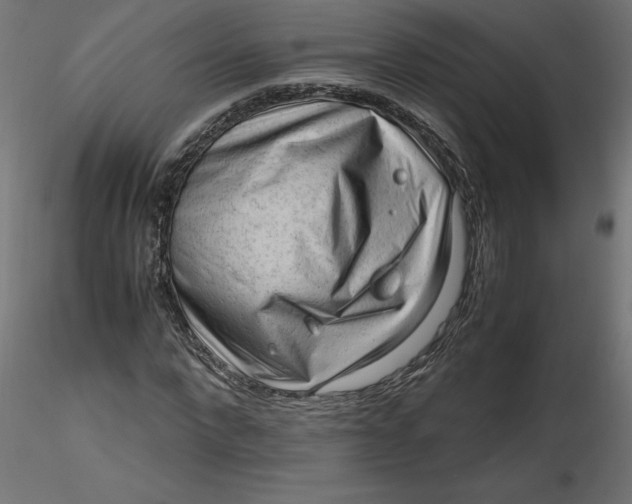 X0000116640872200912291553