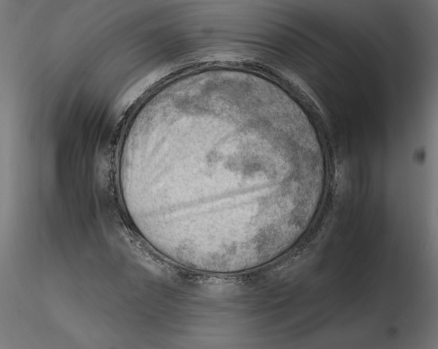 X0000116640874200912291553