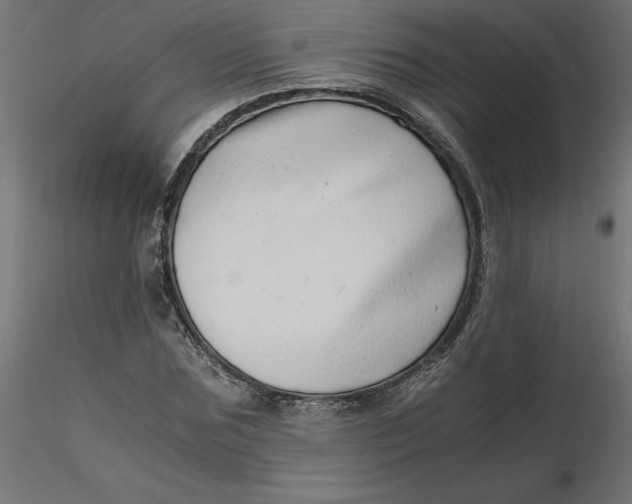 X0000116640875200912291553