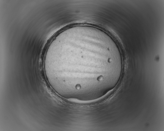 X0000116640876200912291553