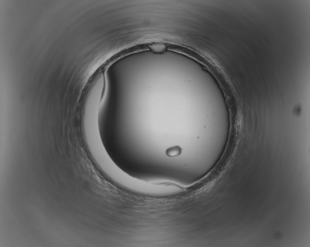 X0000116640877200912291553