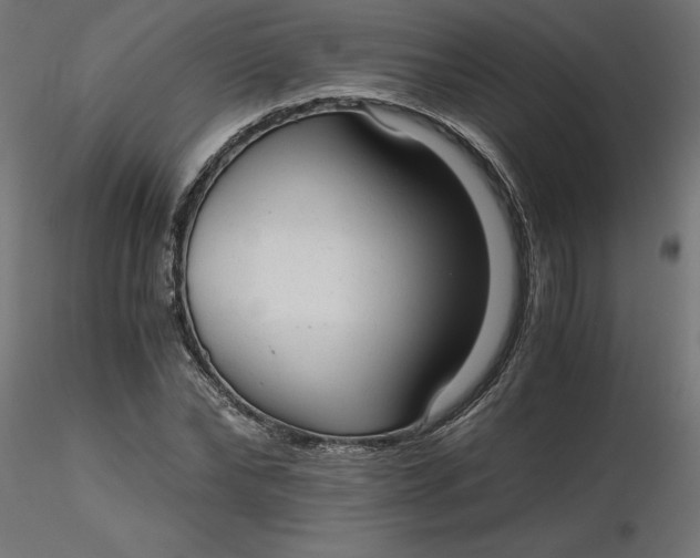 X0000116640878200912291553