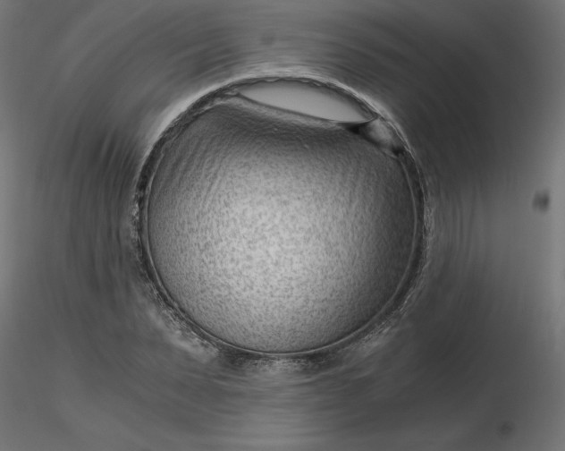 X0000116640879200912291553