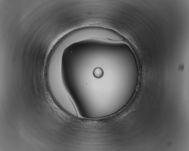 X0000116640880200912291553