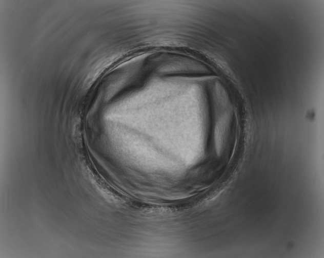 X0000116640881200912291553