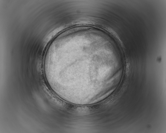 X0000116640882200912291553