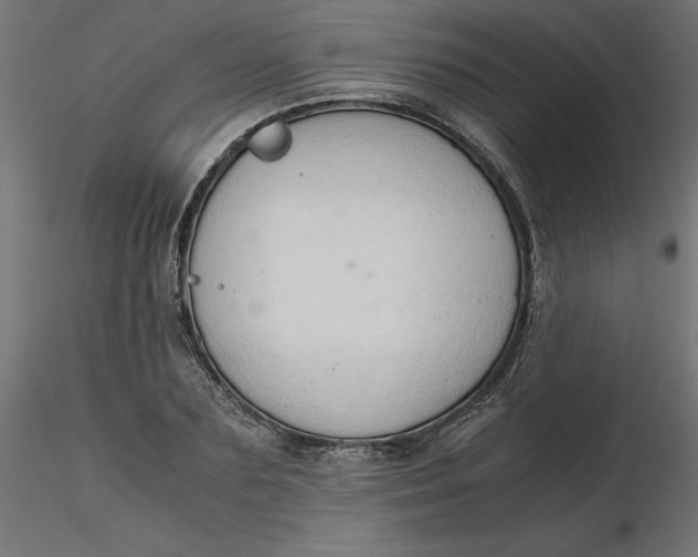 X0000116640883200912291553