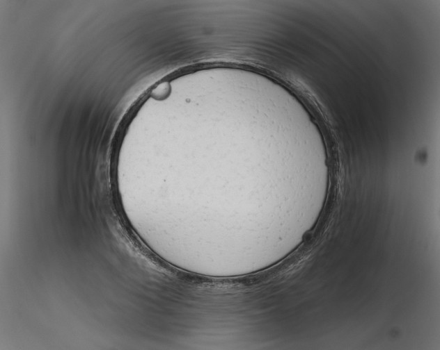 X0000116640884200912291553