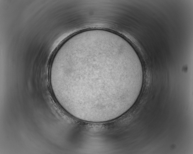 X0000116640886200912291553