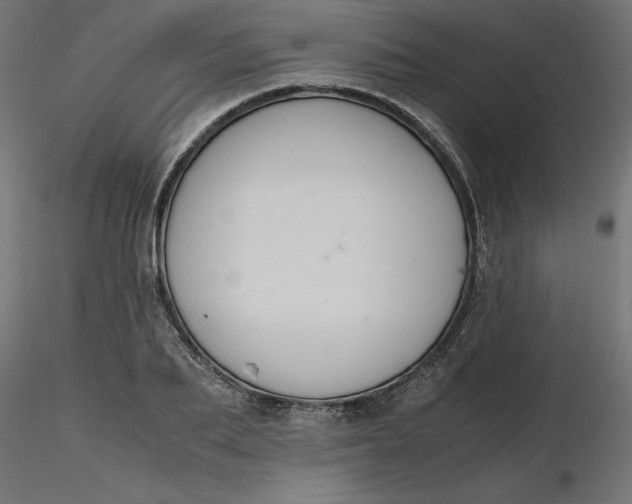 X0000116640887200912291553