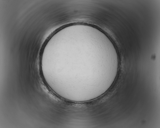 X0000116640888200912291553