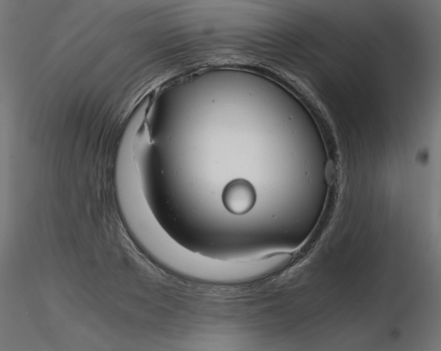 X0000116640889200912291553