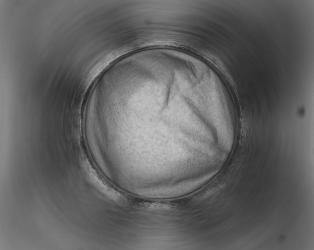 X0000116640890200912291553