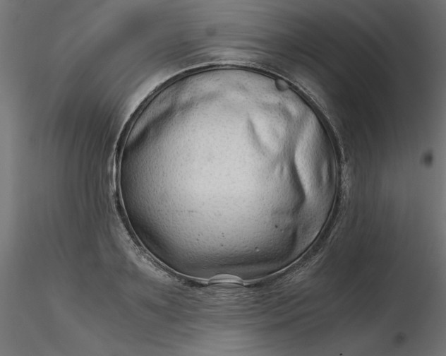 X0000116640891200912291553