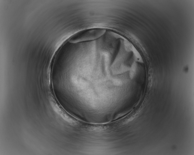 X0000116640892200912291553