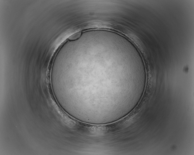 X0000116640893200912291553