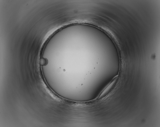 X0000116640894200912291553