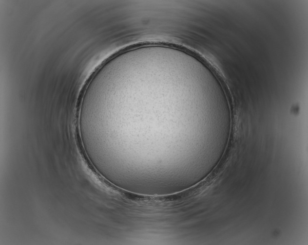 X0000116640895200912291553