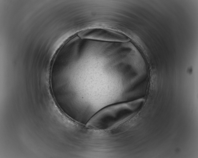 X0000116640896200912291553