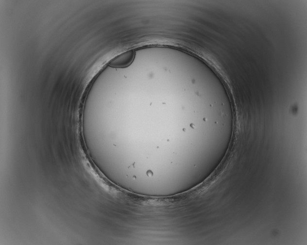 X0000116640898200912291553