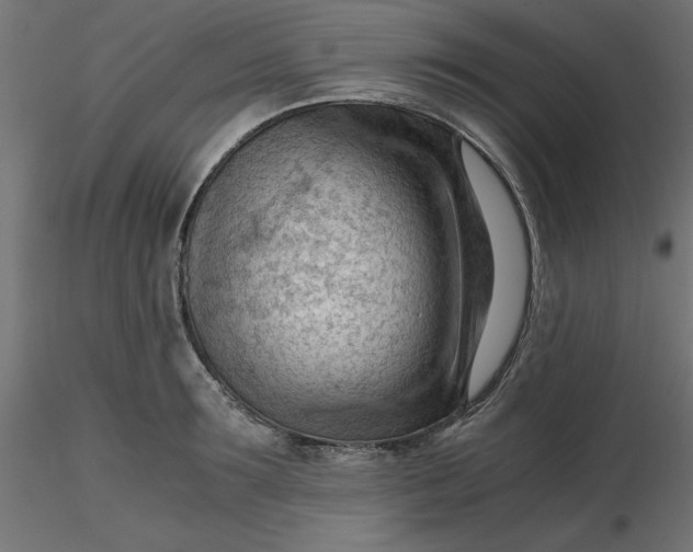 X0000116640899200912291553