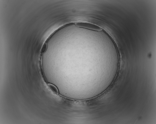 X0000116640901200912291553