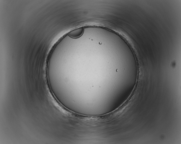 X0000116640902200912291553