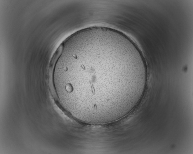 X0000116640903200912291553