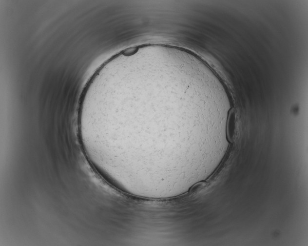 X0000116640904200912291553