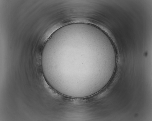 X0000116640905200912291553