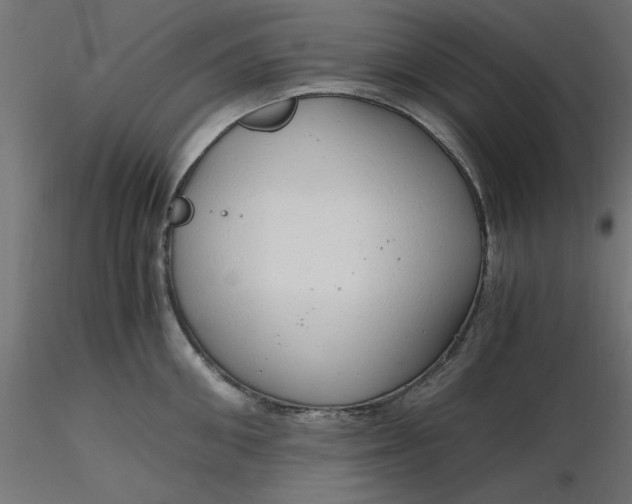 X0000116640906200912291553