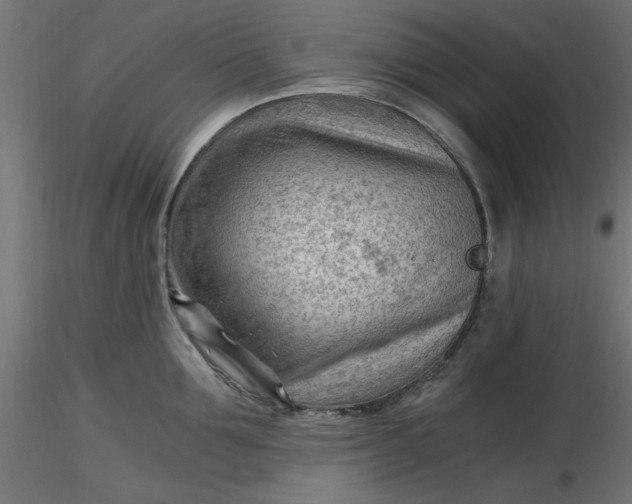 X0000116640907200912291553