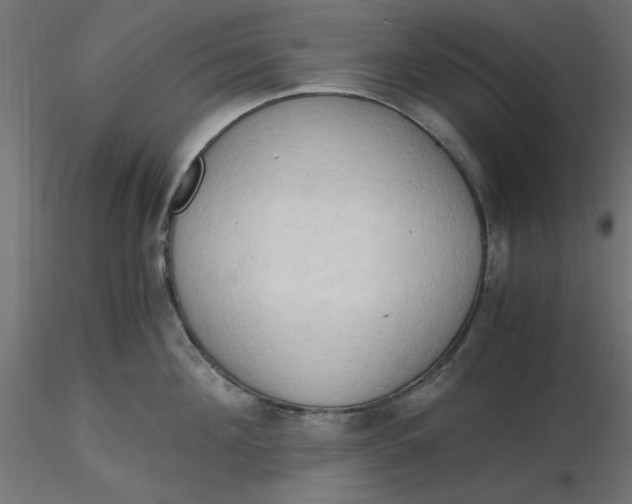 X0000116640908200912291552