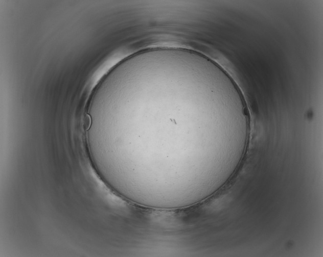 X0000116640909200912291552