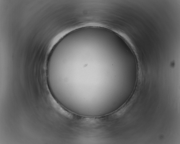 X0000116640910200912291552