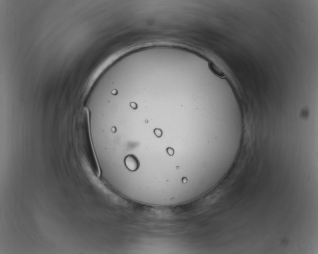 X0000116640911200912291552