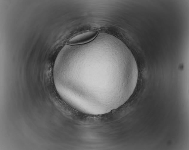 X0000116640914200912291552