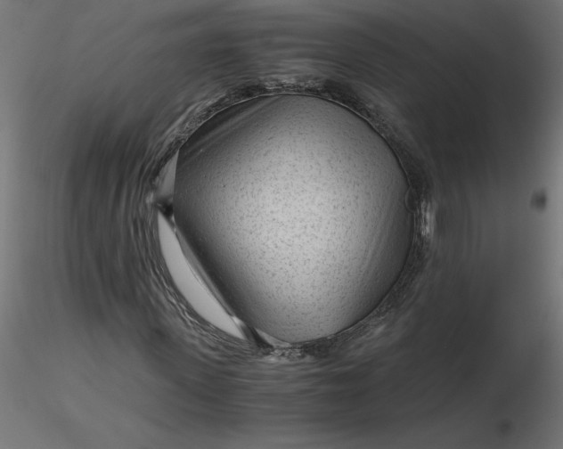 X0000116640915200912291552