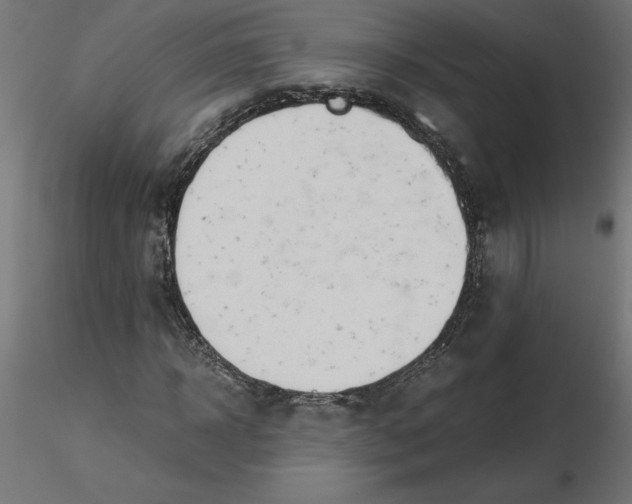 X0000116640918200912291552