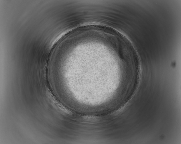 X0000116640921200912291552