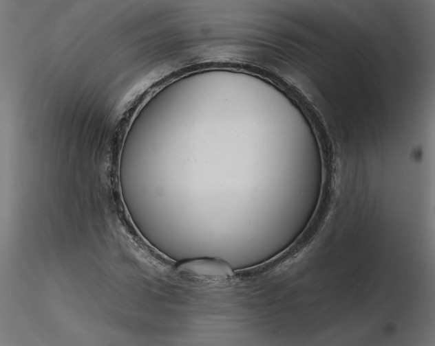 X0000116640922200912291552