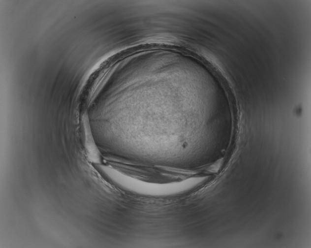 X0000116640923200912291552