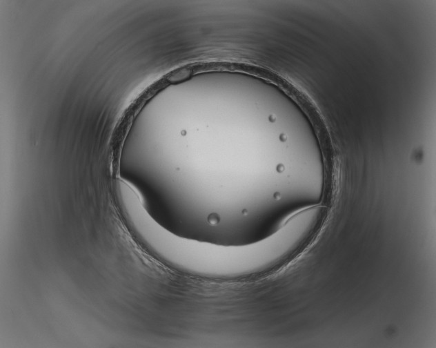 X0000116640925200912291552