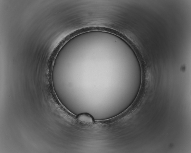 X0000116640926200912291552